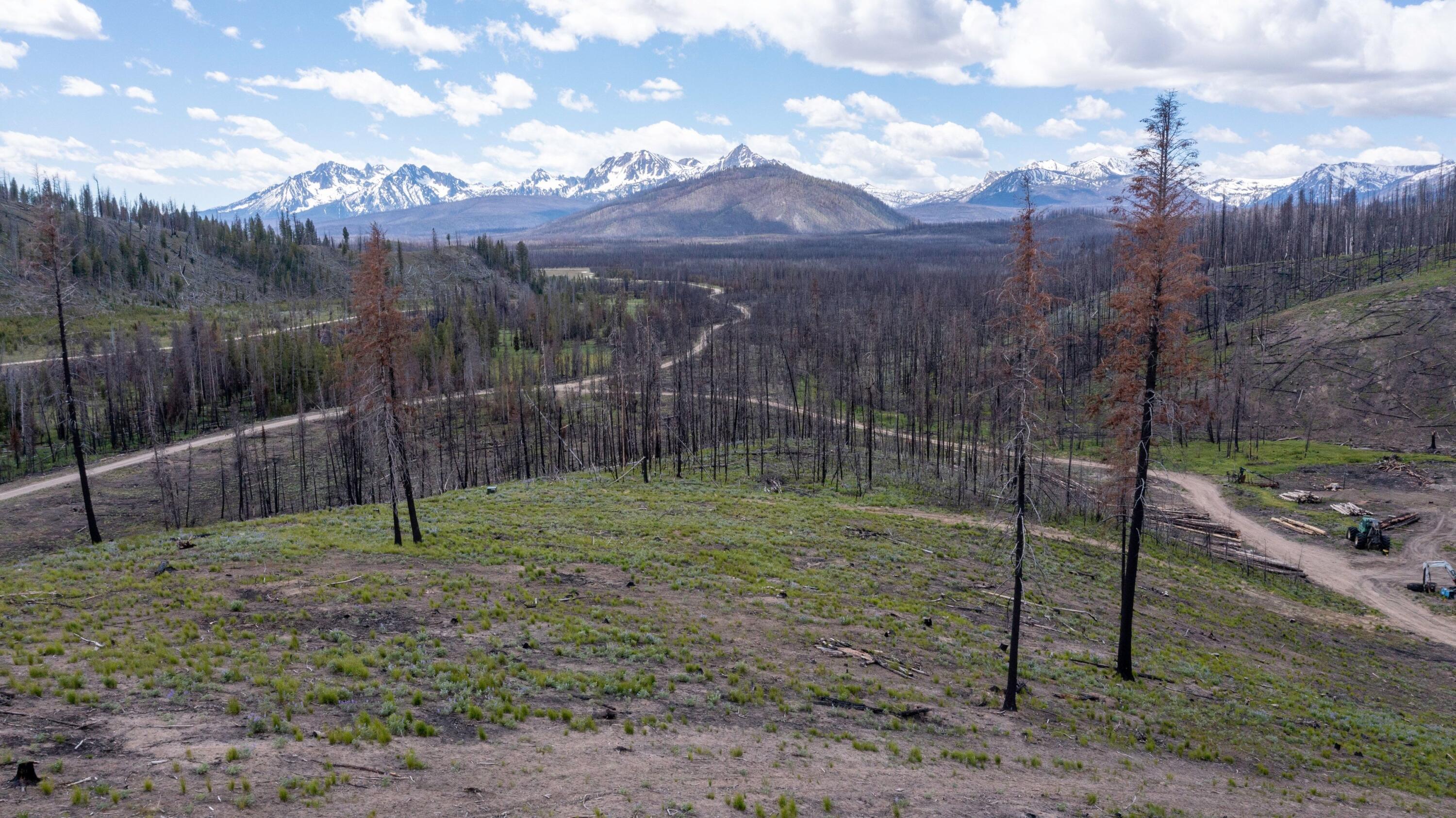 Tbd Valley Creek Rd Property Photo 9