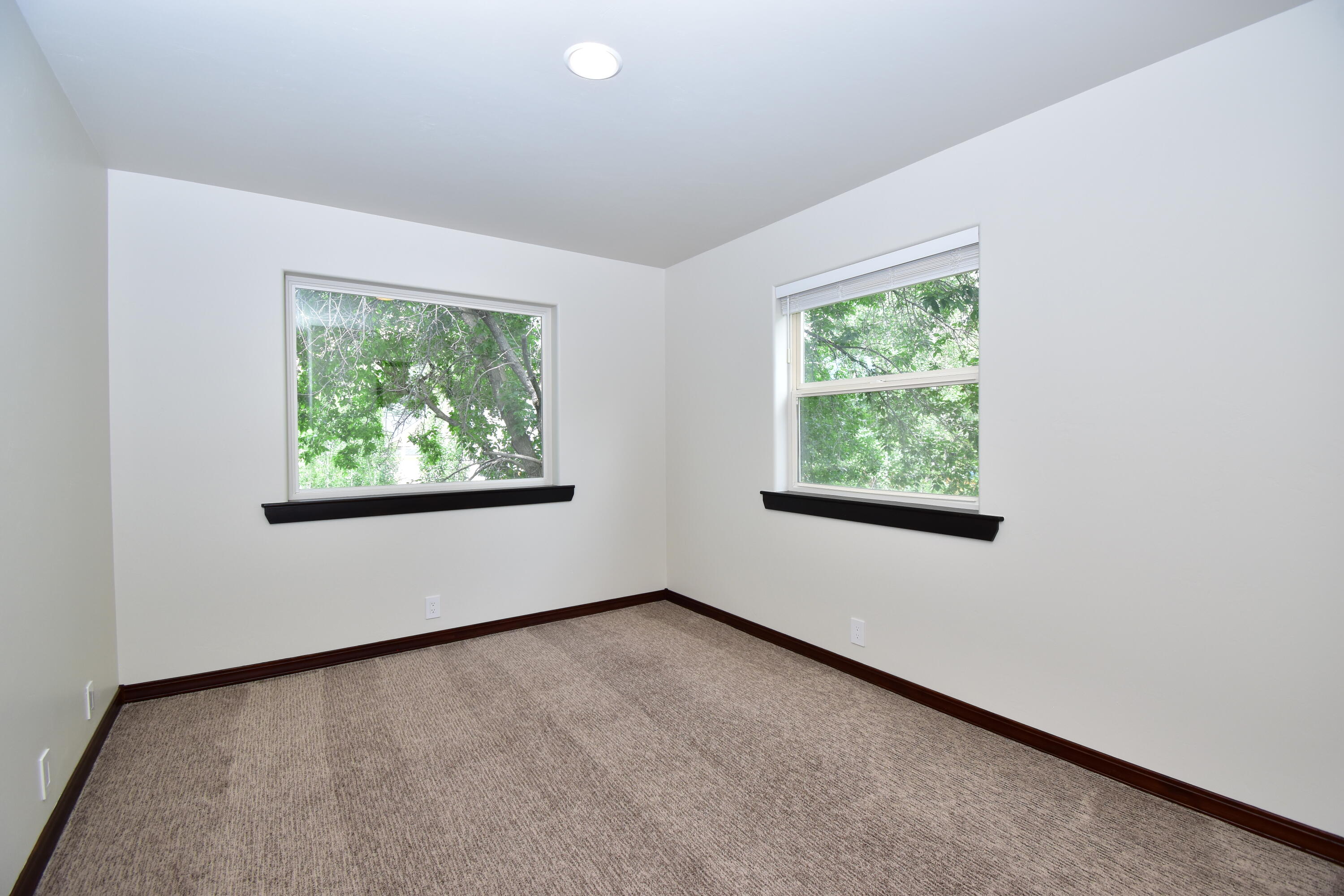 420 Whitetail Dr Property Photo 25