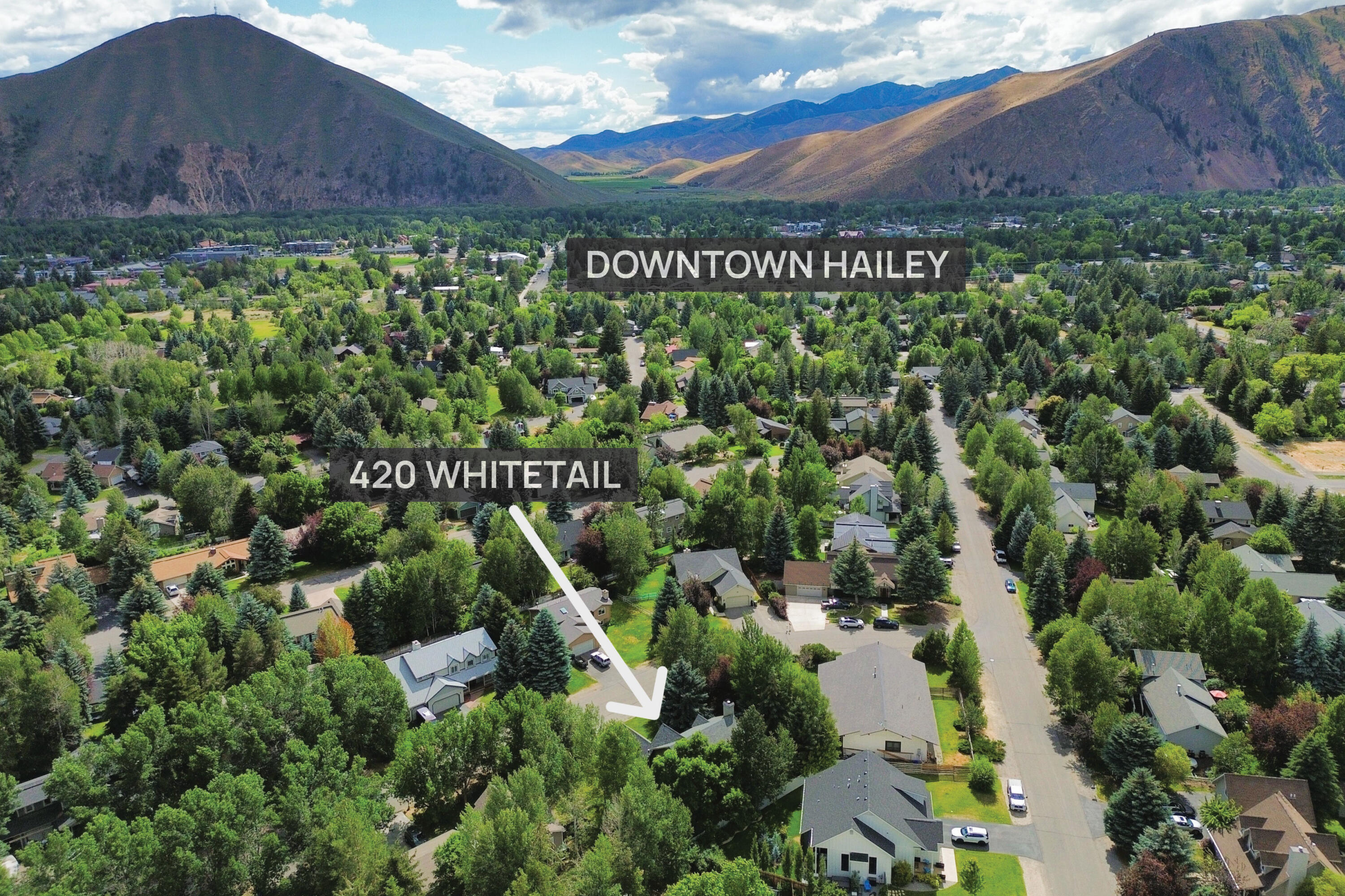 420 Whitetail Dr Property Photo 36
