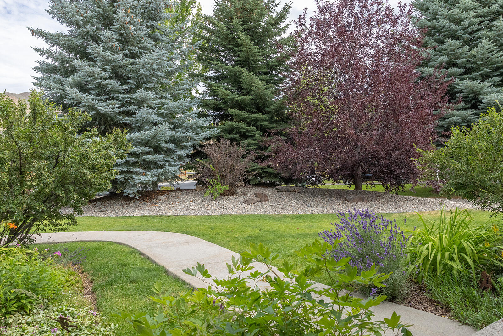 561 Chestnut Loop Property Photo 29