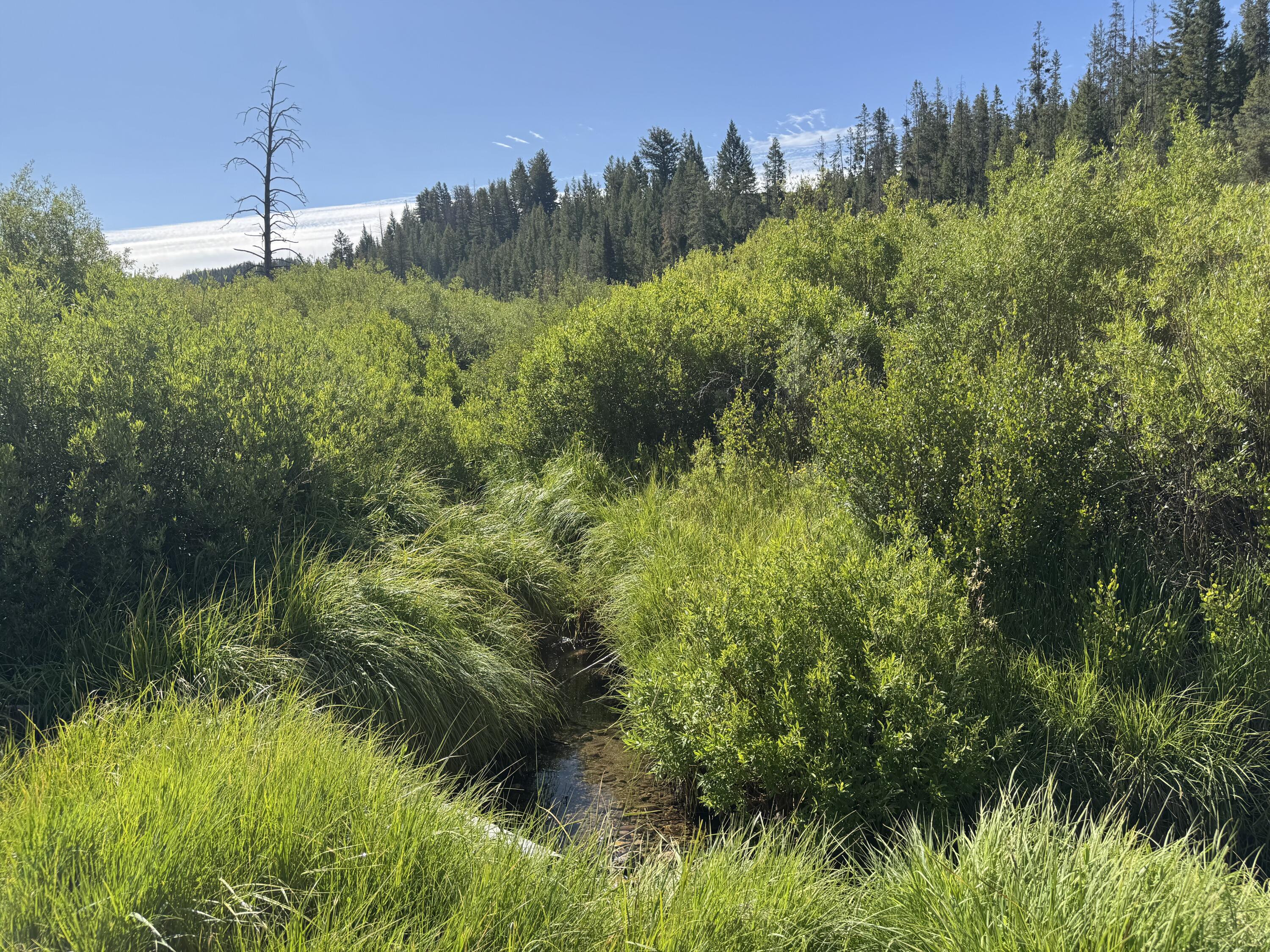 Tbd Fisher Creek Rd Property Photo 6
