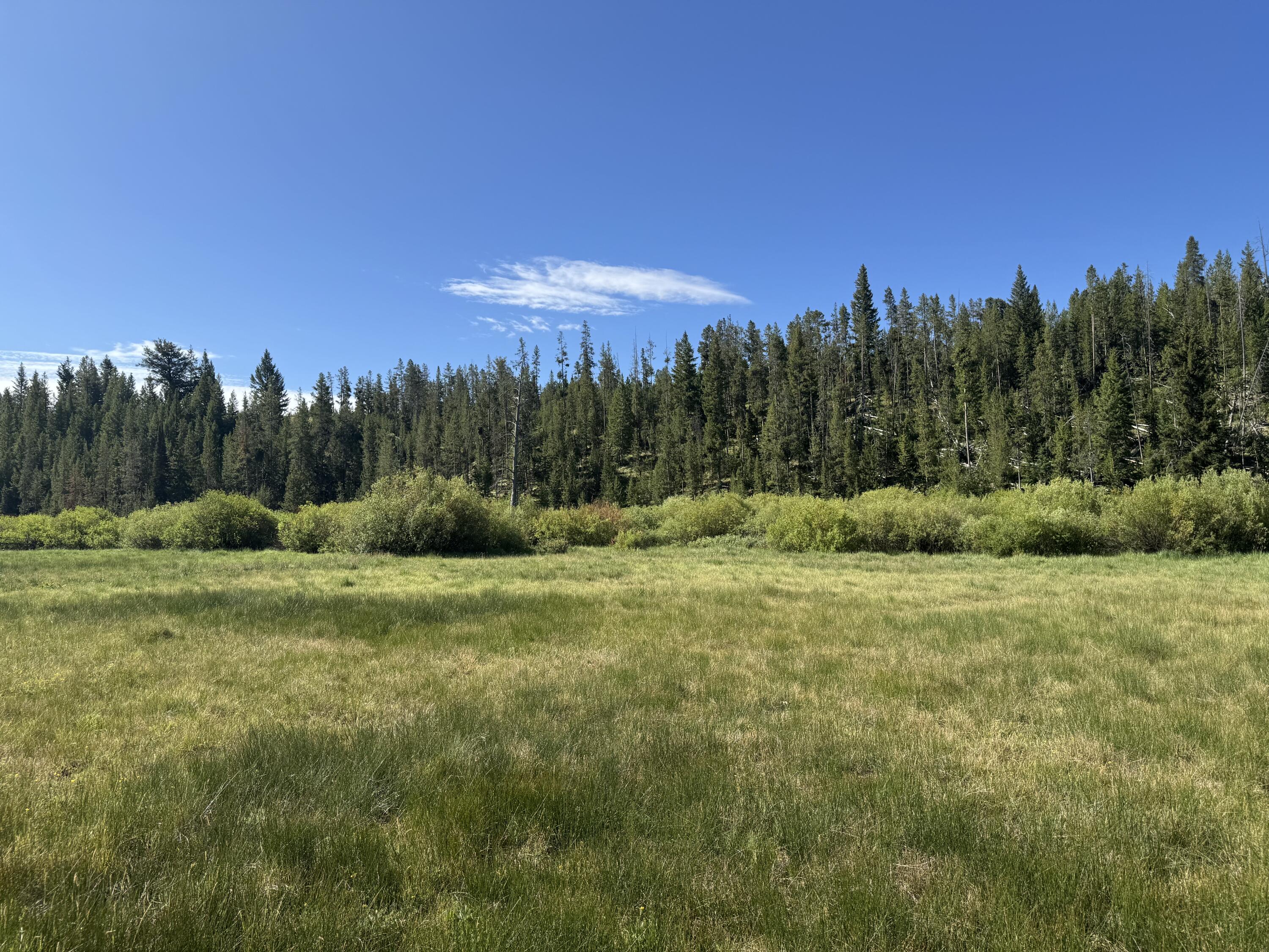 Tbd Fisher Creek Rd Property Photo 8