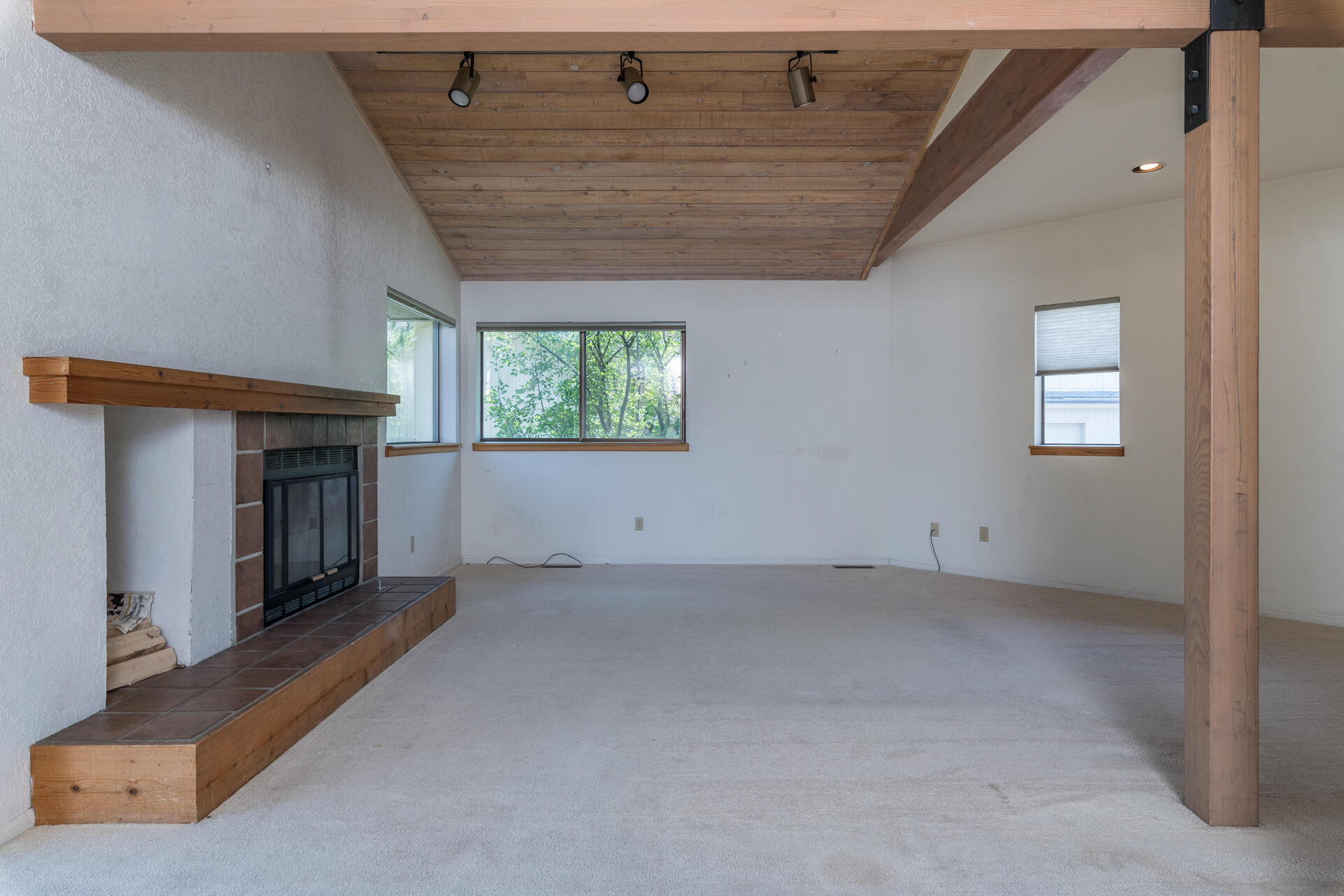 103 Dandelion W Property Photo 5