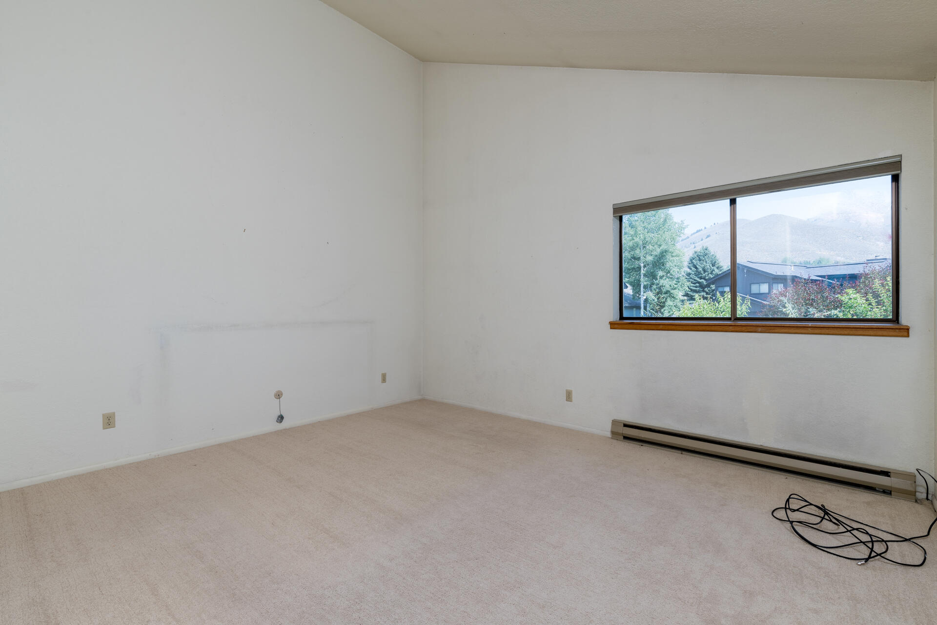 103 Dandelion W Property Photo 18
