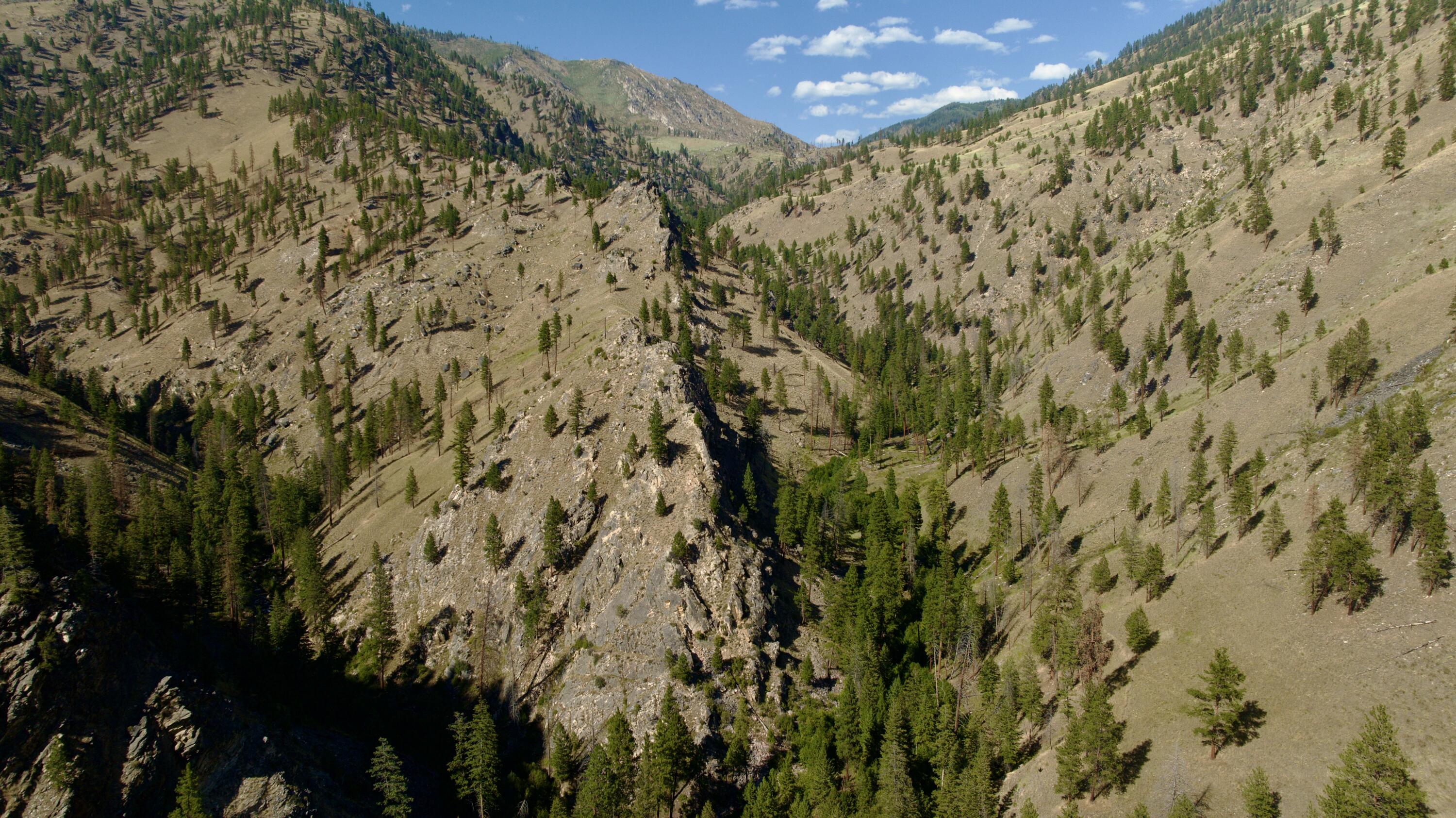 Tbd Owl Crk Property Photo 1