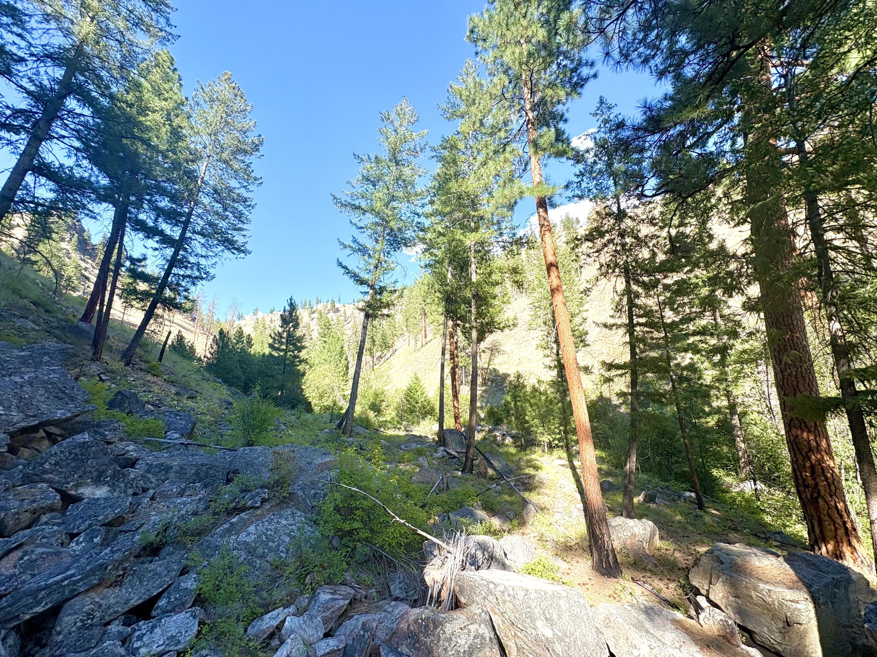 Tbd Owl Crk Property Photo 13