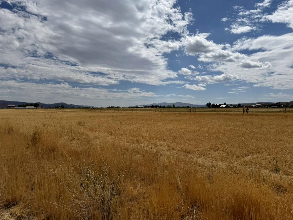 34 Chuckwagon Lane Property Photo 68