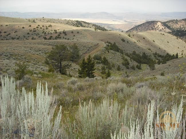 Pole Gulch Road Property Photo 1