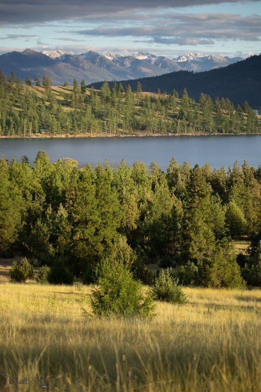 370696 Property Photo 42