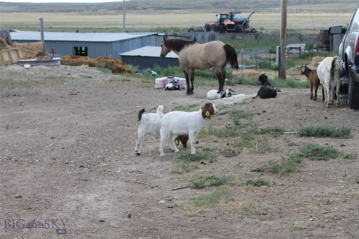 134 Little Dry Creek Property Photo 5