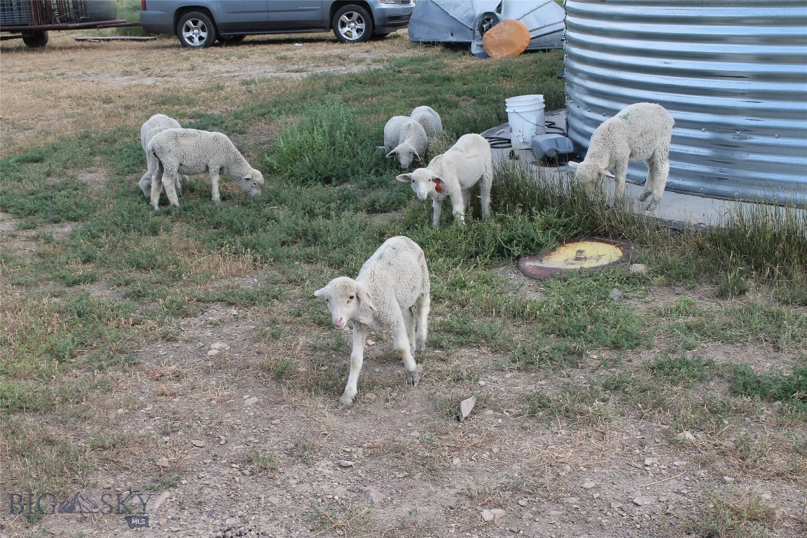 134 Little Dry Creek Property Photo 6