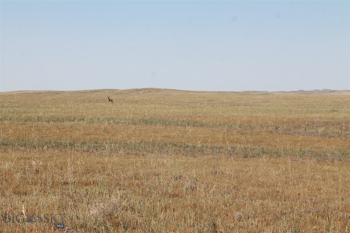 134 Little Dry Creek Property Photo 10