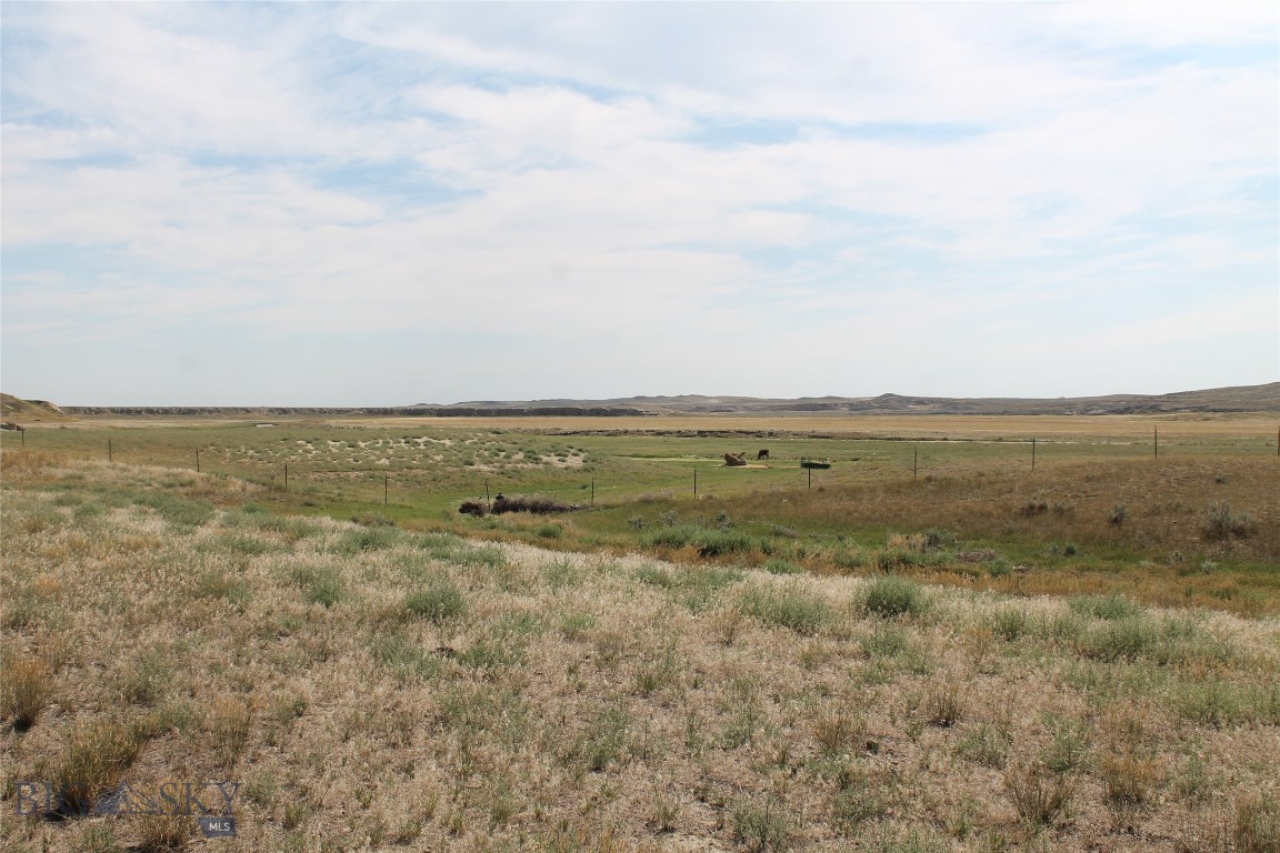 134 Little Dry Creek Property Photo 15
