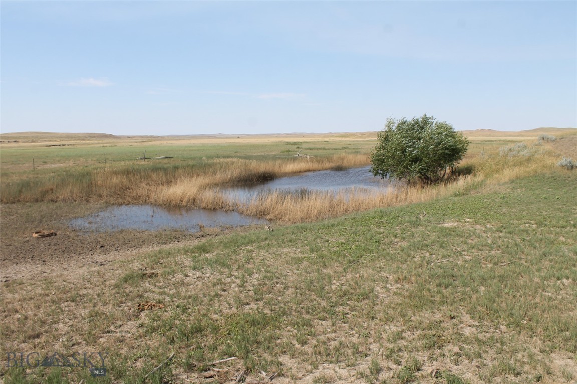 134 Little Dry Creek Property Photo 21