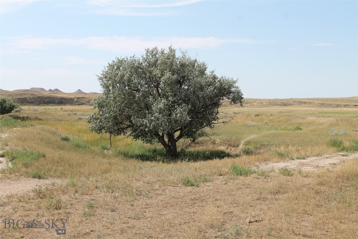 134 Little Dry Creek Property Photo 24