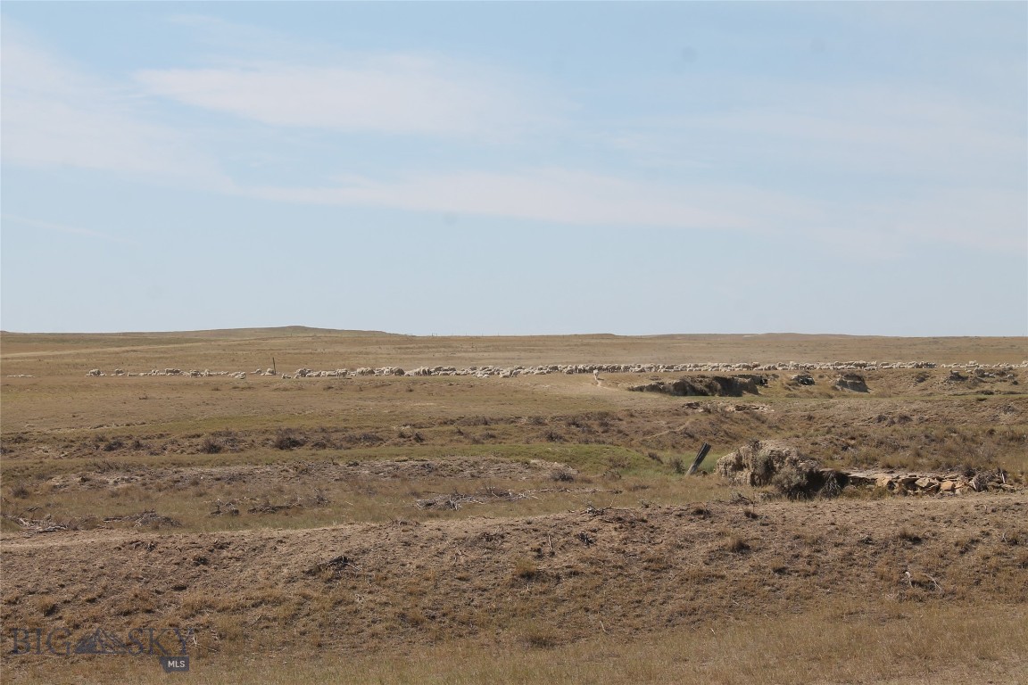 134 Little Dry Creek Property Photo 38