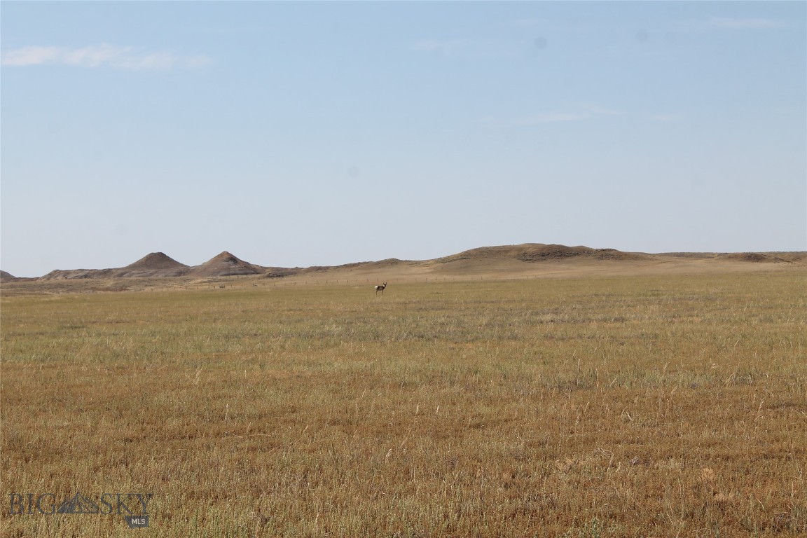 134 Little Dry Creek Property Photo 49