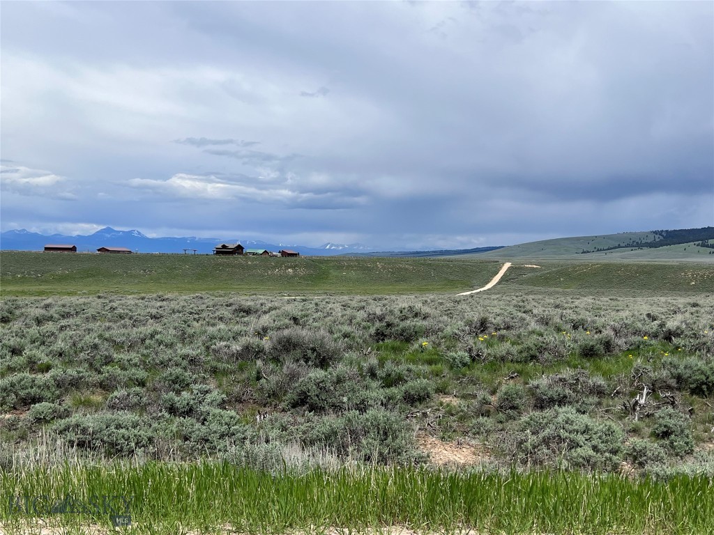 Tract 11 Steel Creek Road Property Photo 9