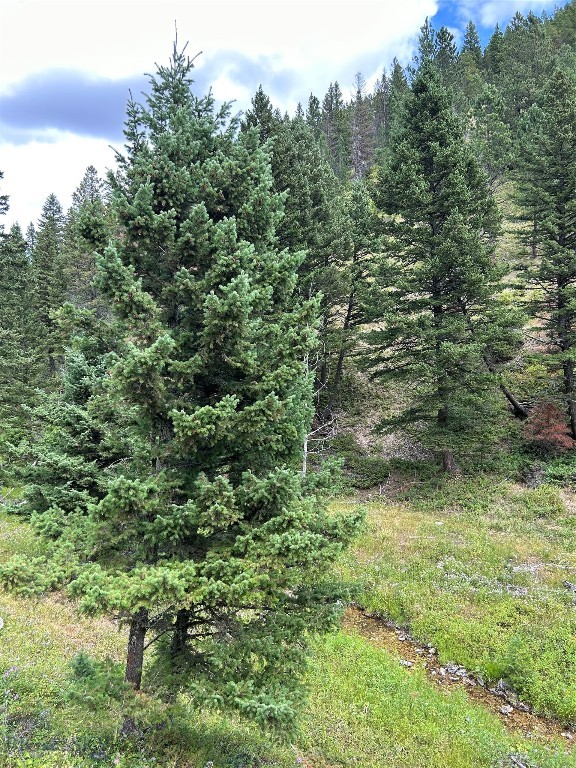 1956 Whiskey Gulch Trail Property Photo 15