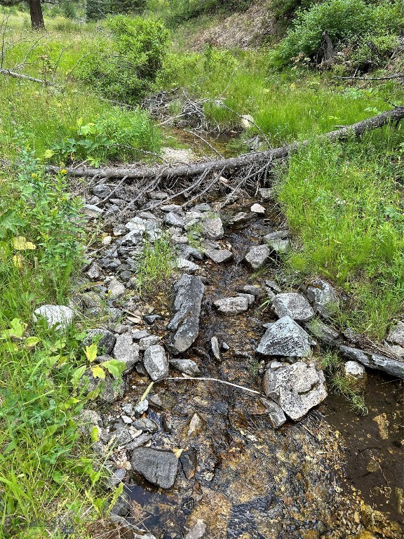 1956 Whiskey Gulch Trail Property Photo 17