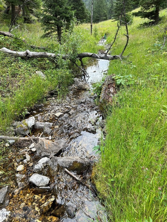 1956 Whiskey Gulch Trail Property Photo 18