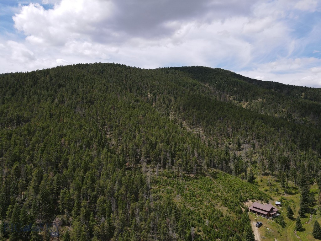 1956 Whiskey Gulch Trail Property Photo 31