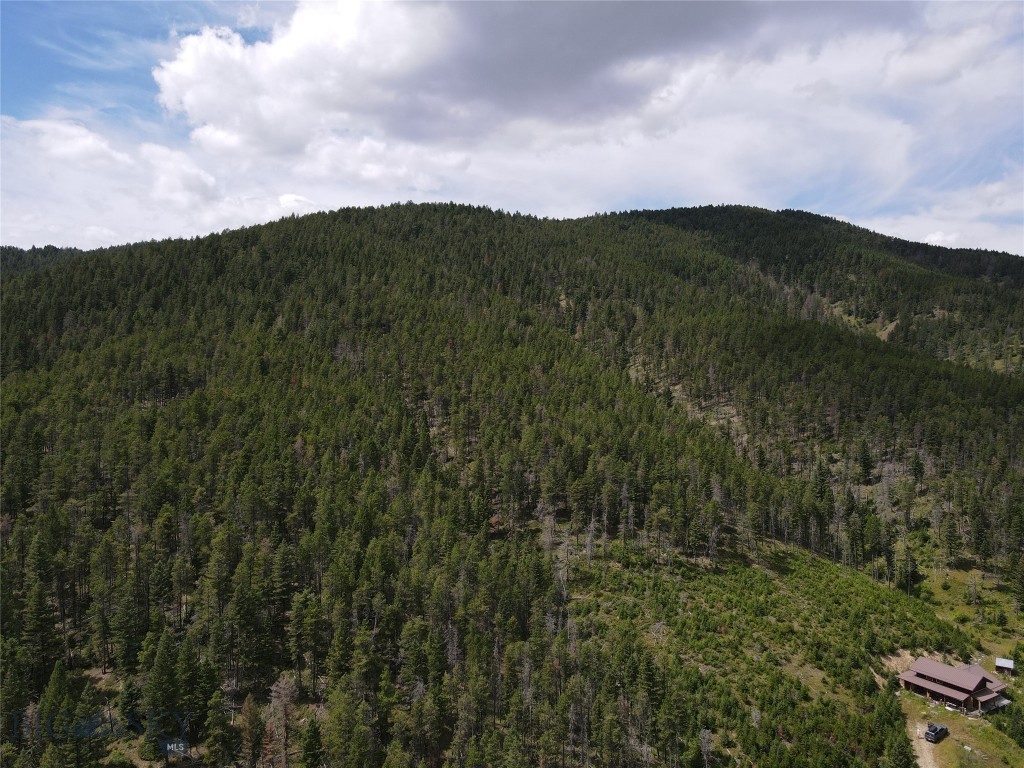 1956 Whiskey Gulch Trail Property Photo 32