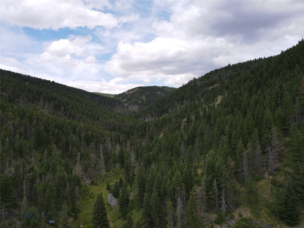 1956 Whiskey Gulch Trail Property Photo 36
