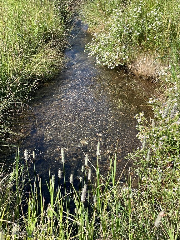 Lot A59 Pond Rd Property Photo 4