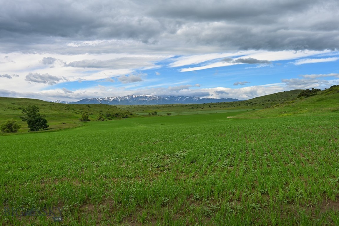 299 Stillwater River Road Property Photo 7