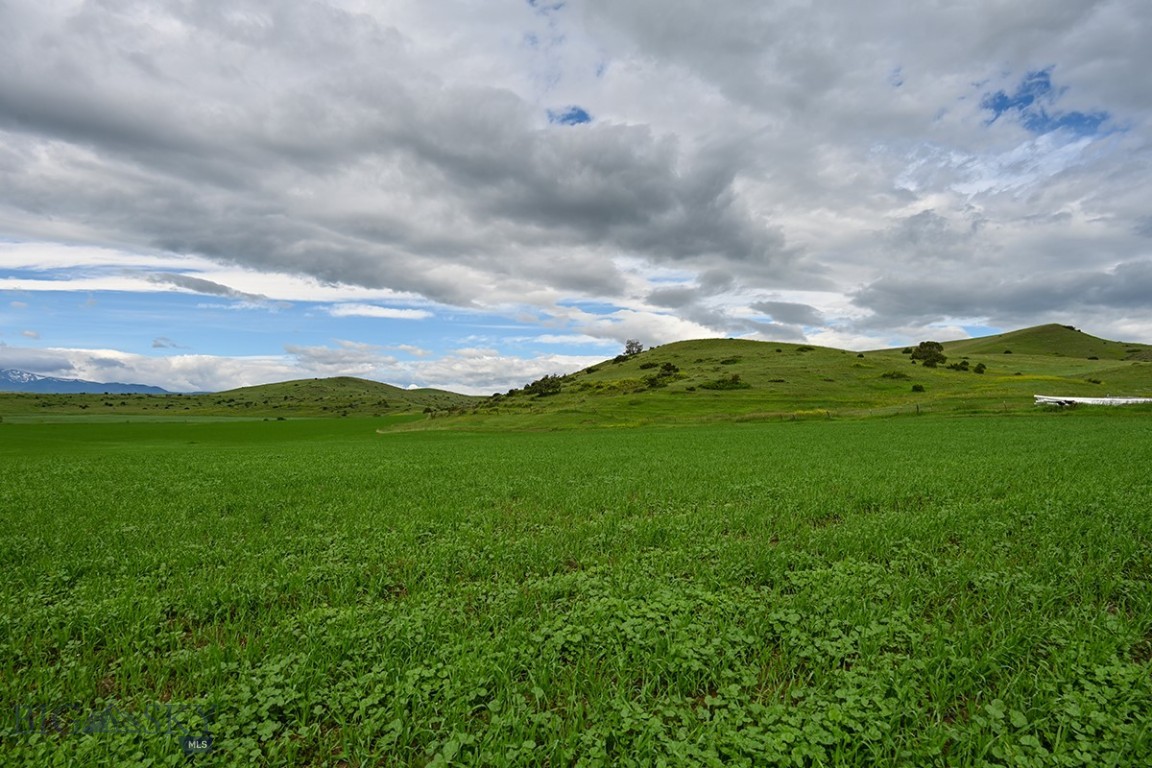299 Stillwater River Road Property Photo 8
