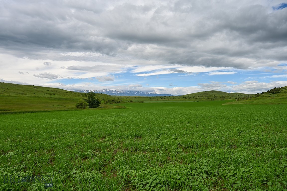 299 Stillwater River Road Property Photo 9