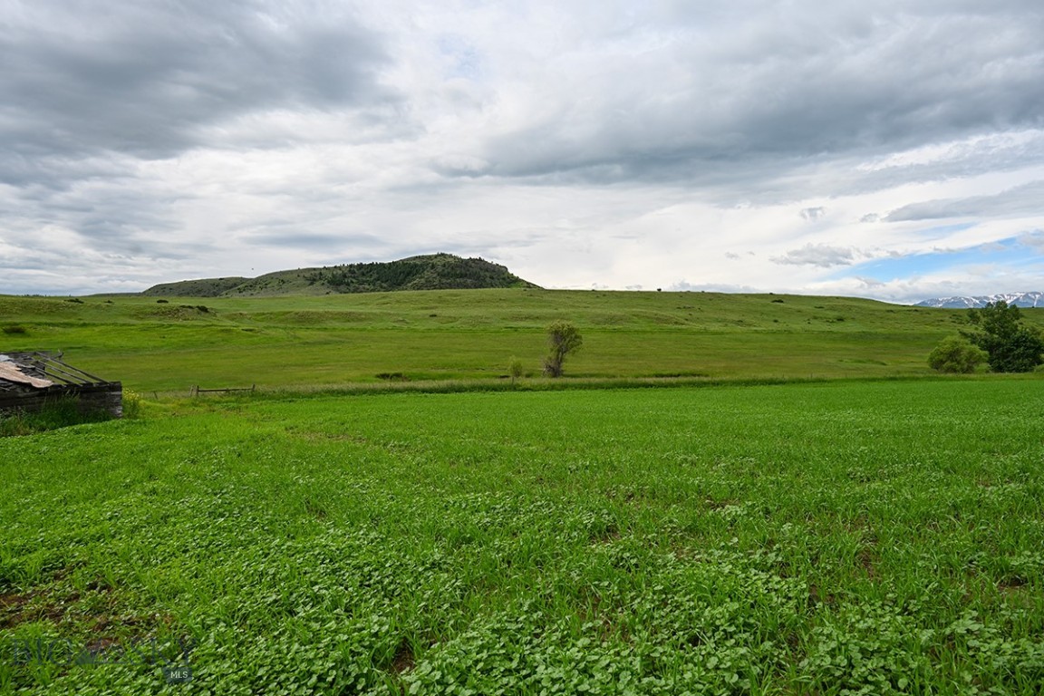 299 Stillwater River Road Property Photo 10