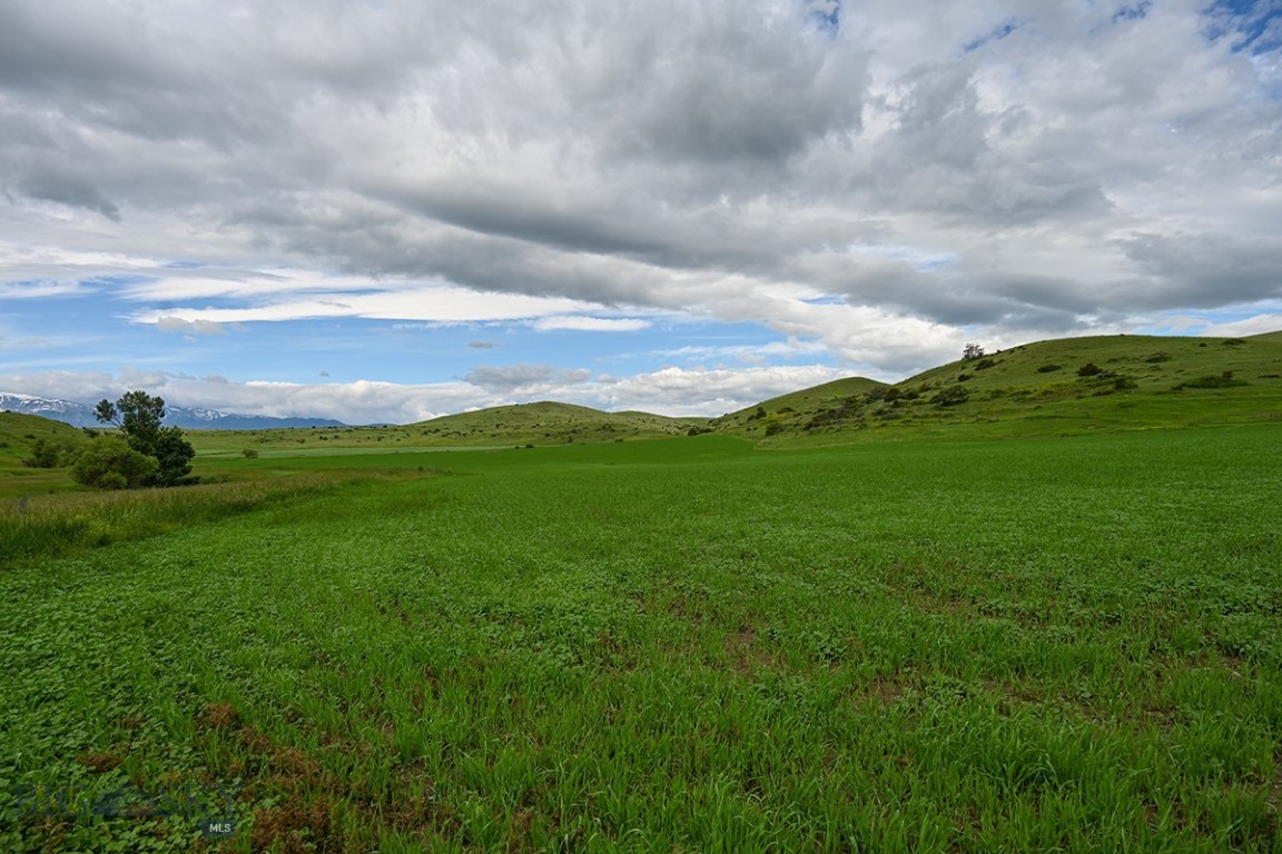 299 Stillwater River Road Property Photo 13