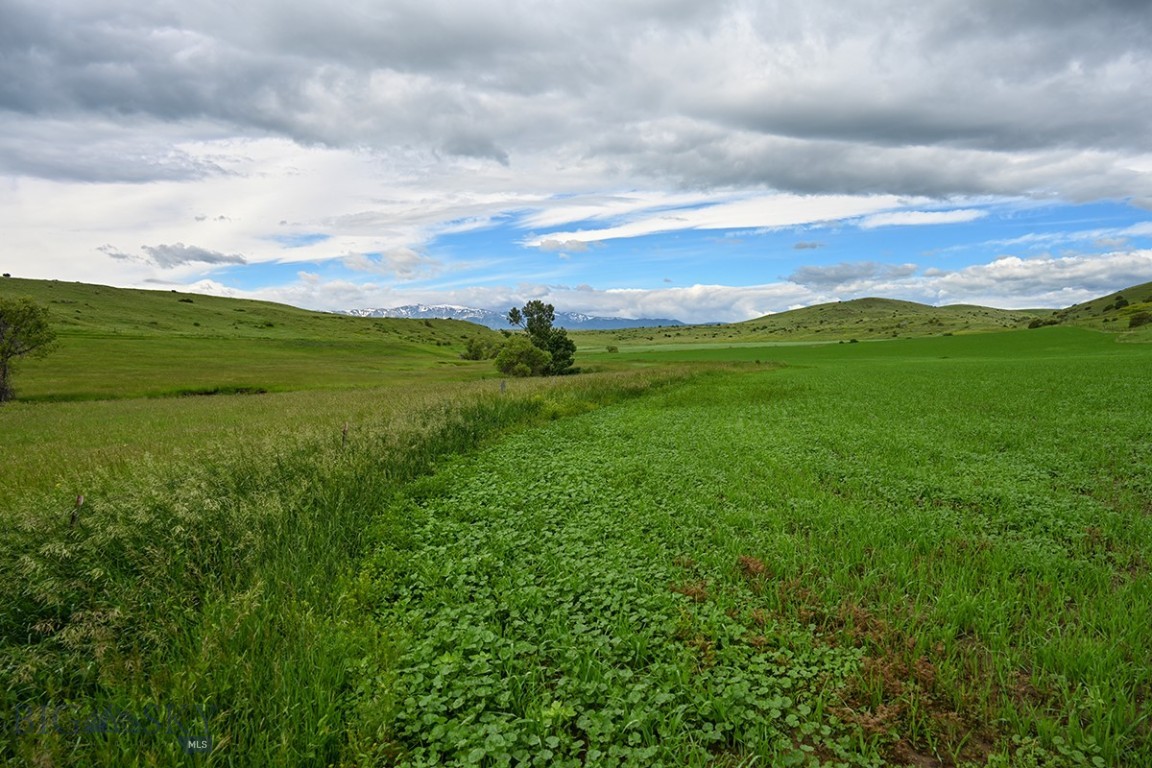 299 Stillwater River Road Property Photo 14