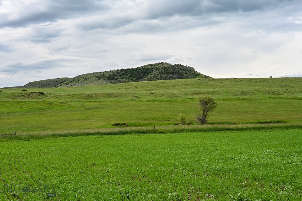 299 Stillwater River Road Property Photo 16