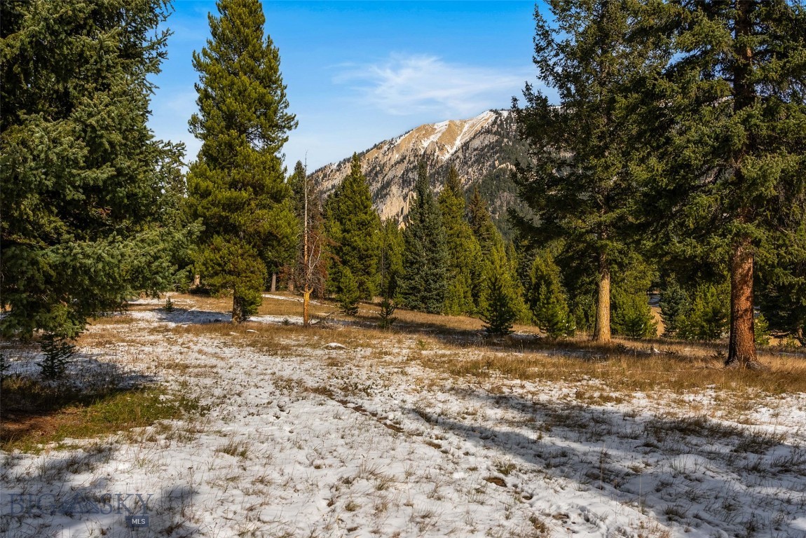 5255 Lone Mountain Trail Property Photo 46