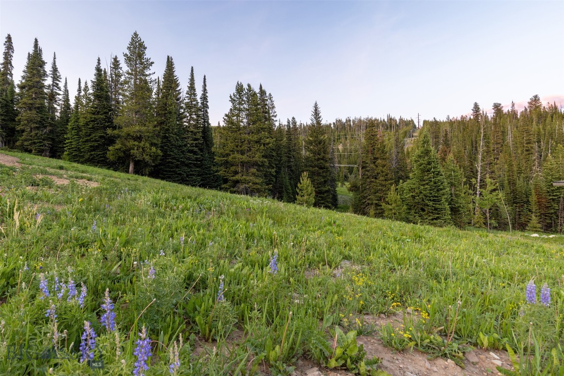 Tbd Cheyenne Road Property Photo 5
