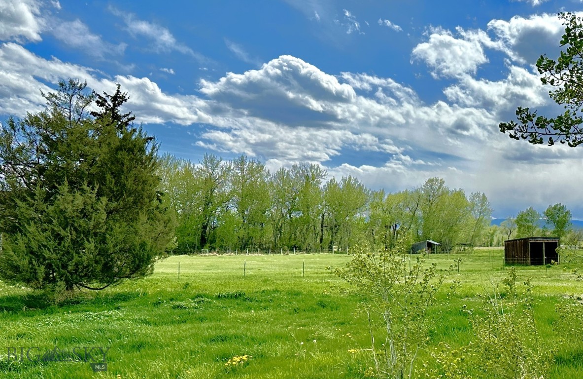 118 Dovetail Lane Property Photo 4