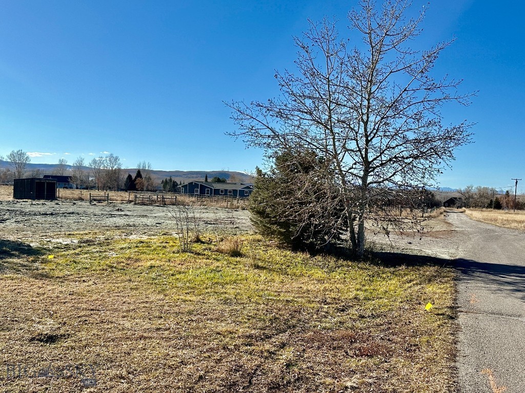 118 Dovetail Lane Property Photo 37
