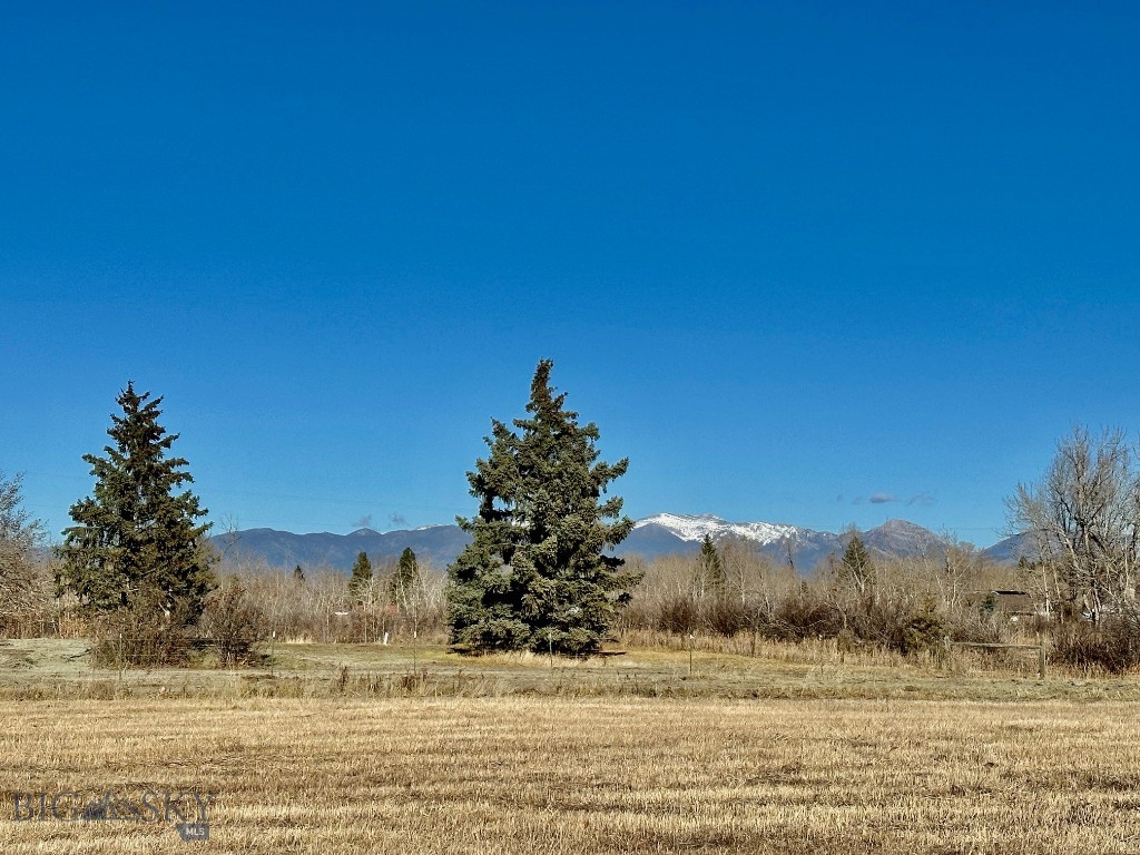 118 Dovetail Lane Property Photo 44