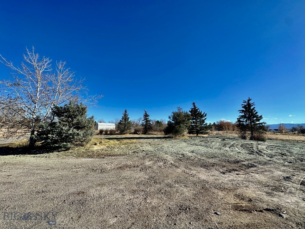 118 Dovetail Lane Property Photo 47