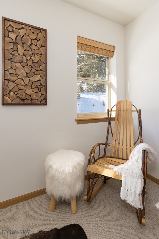 27 Antler Drop Court Property Photo 45