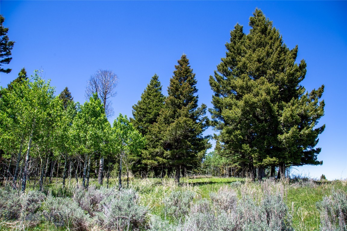 Lot 38 Sun West Ranch Property Photo 12