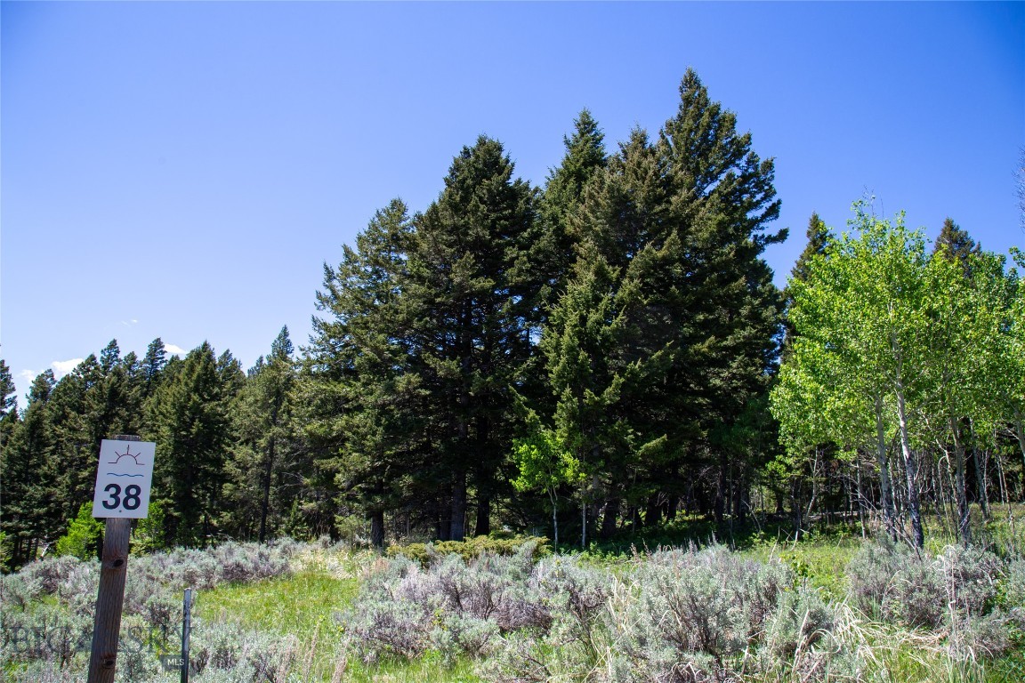 Lot 38 Sun West Ranch Property Photo 13