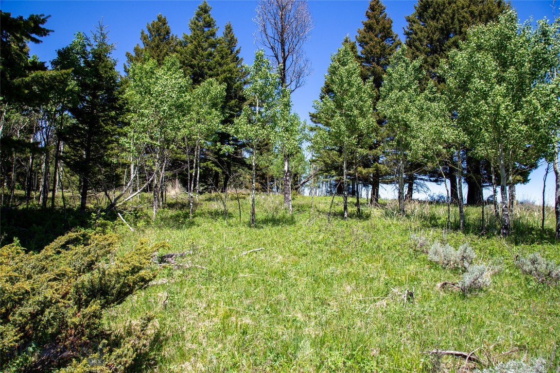 Lot 38 Sun West Ranch Property Photo 14