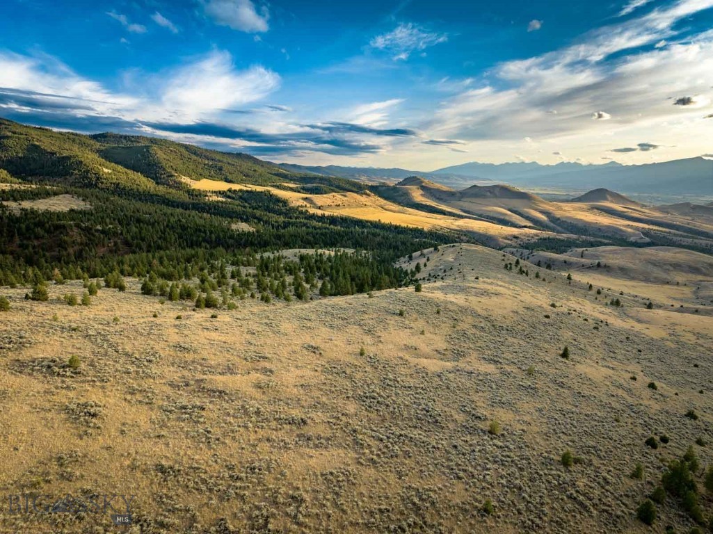 3689 Corley Gulch Road Property Photo 4