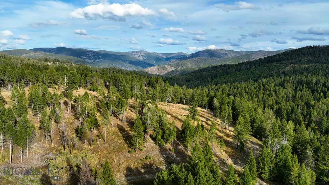3689 Corley Gulch Road Property Photo 5