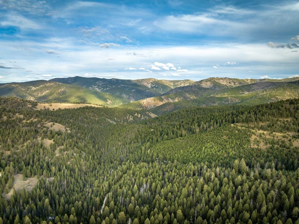 3689 Corley Gulch Road Property Photo 7