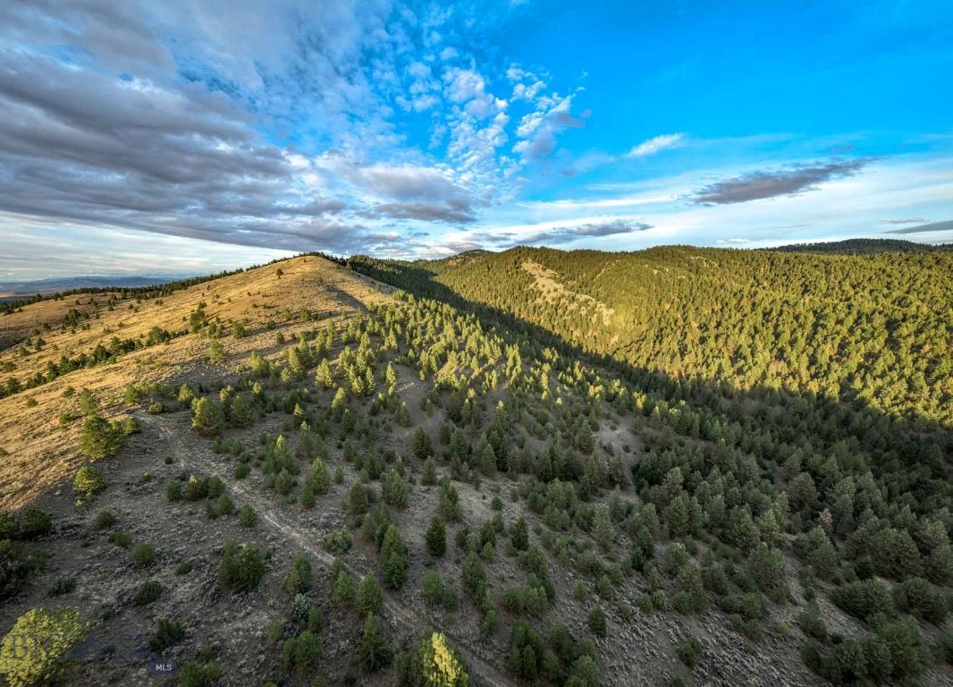 3689 Corley Gulch Road Property Photo 10